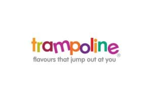 Trampoline Gelato - Ice Cream Franchise in Australia