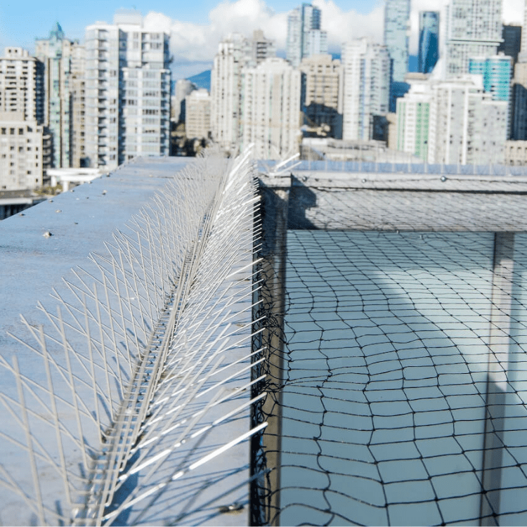 Absolute Bird Control