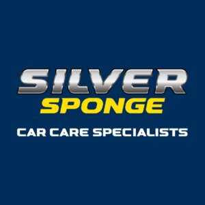 Silver Sponge